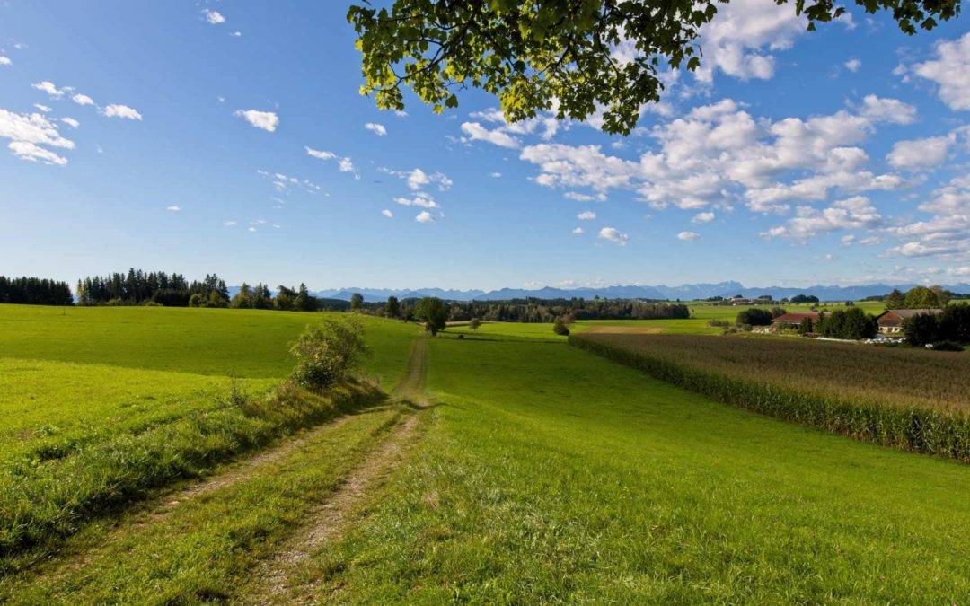 München: Kooperation mit Eigentümern bei Grundstückserwerb geplant