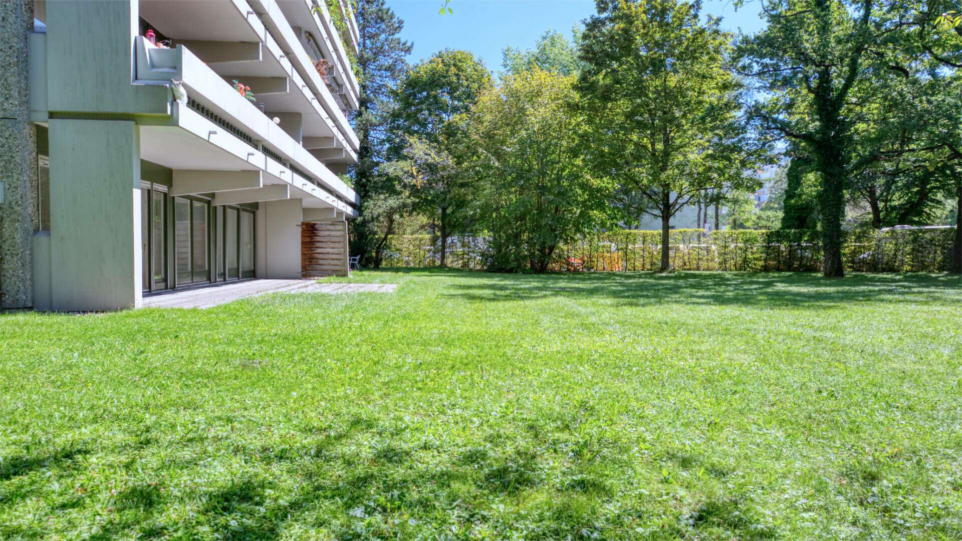 Solln Wohnung Terrasse