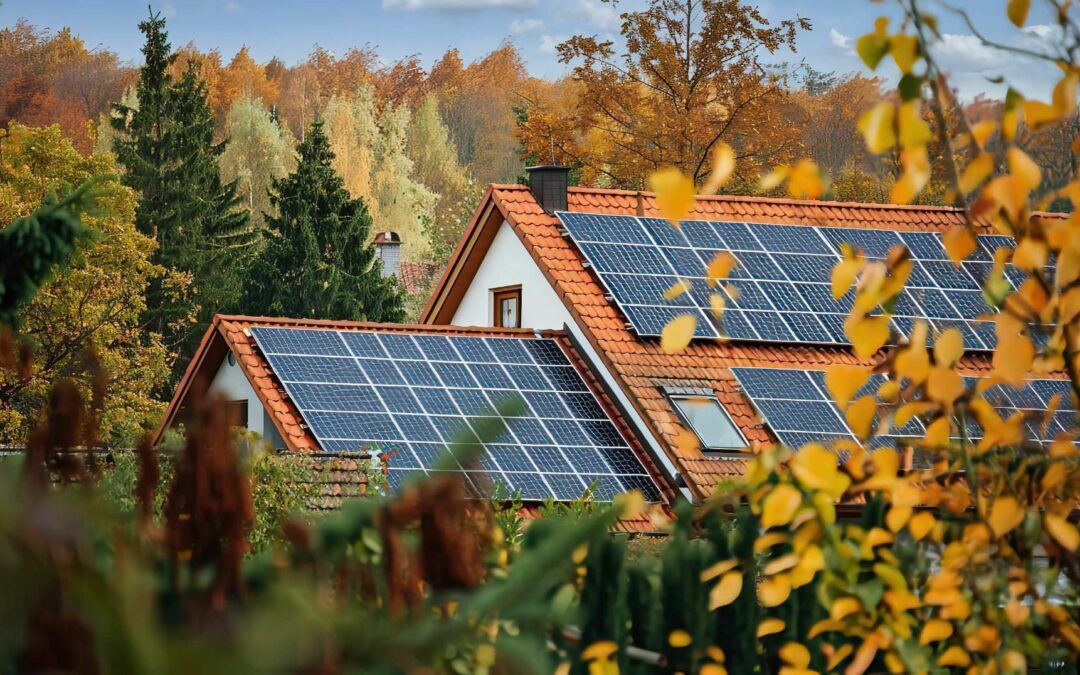 Staatliche Förderung 2024: Neue Zuschüsse für Ihre Photovoltaik
