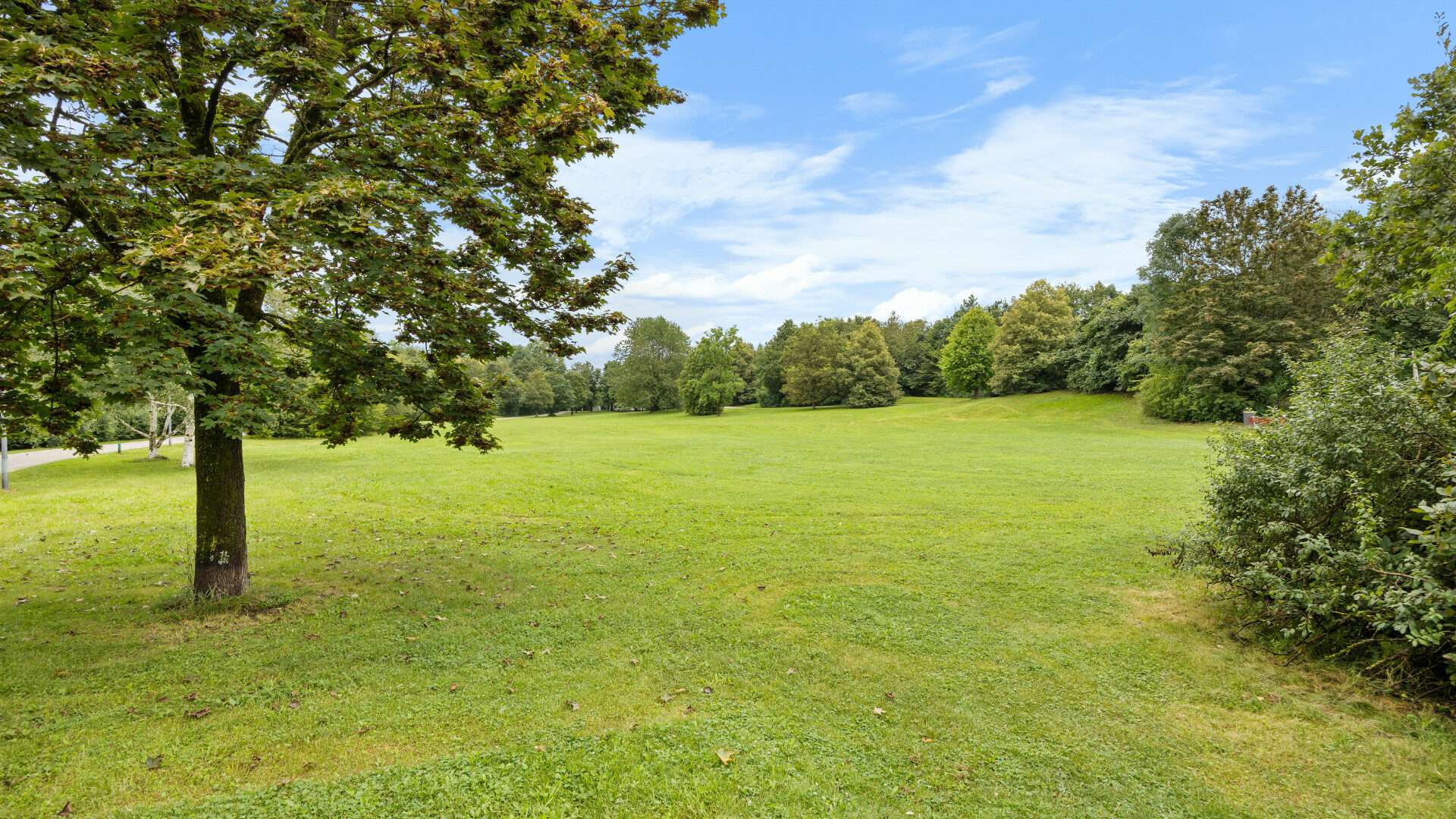 Grüner weitläufiger Park mit Bäumen